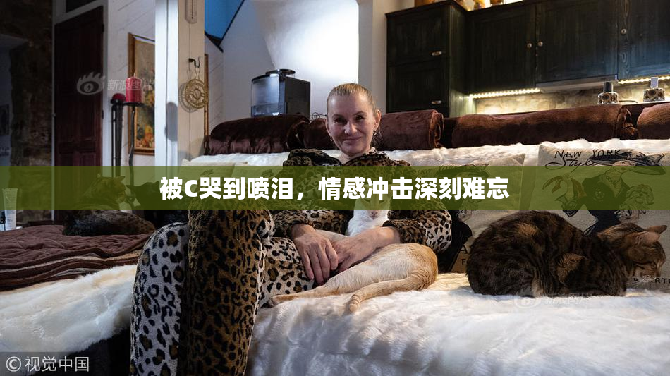 被C哭到喷泪，情感冲击深刻难忘