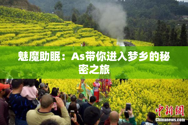 魅魔助眠：As带你进入梦乡的秘密之旅