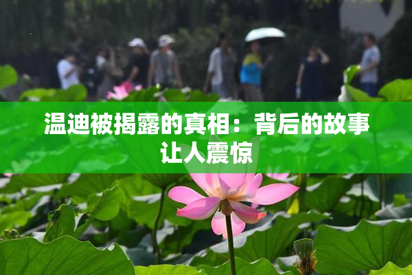 温迪被揭露的真相：背后的故事让人震惊