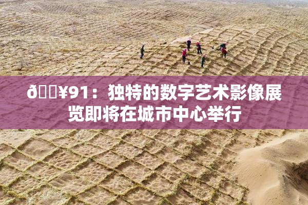 🔥91：独特的数字艺术影像展览即将在城市中心举行