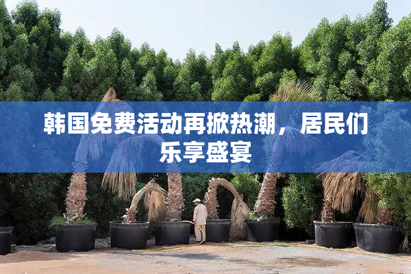 韩国免费活动再掀热潮，居民们乐享盛宴