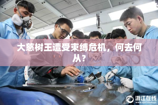 大慈树王遭受束缚危机，何去何从？