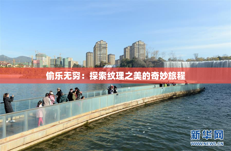 偷乐无穷：探索纹理之美的奇妙旅程