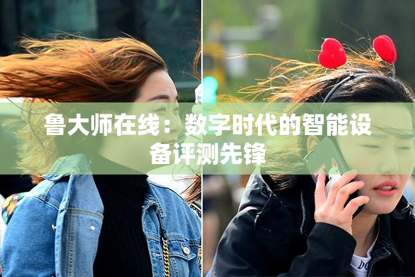 鲁大师在线：数字时代的智能设备评测先锋