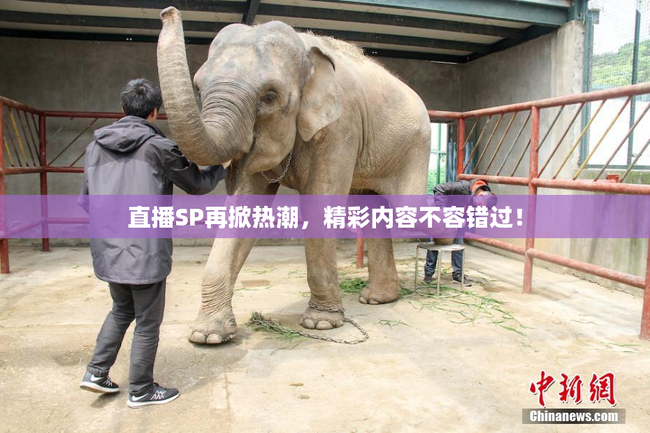 直播SP再掀热潮，精彩内容不容错过！