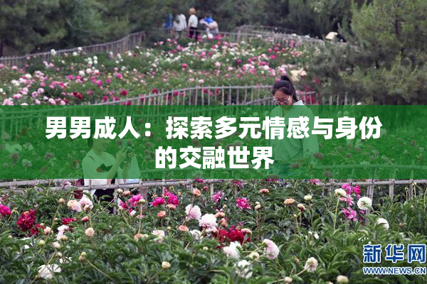 男男成人：探索多元情感与身份的交融世界
