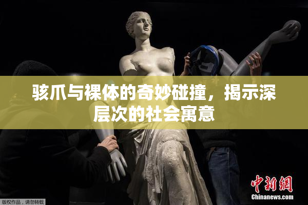 骇爪与裸体的奇妙碰撞，揭示深层次的社会寓意