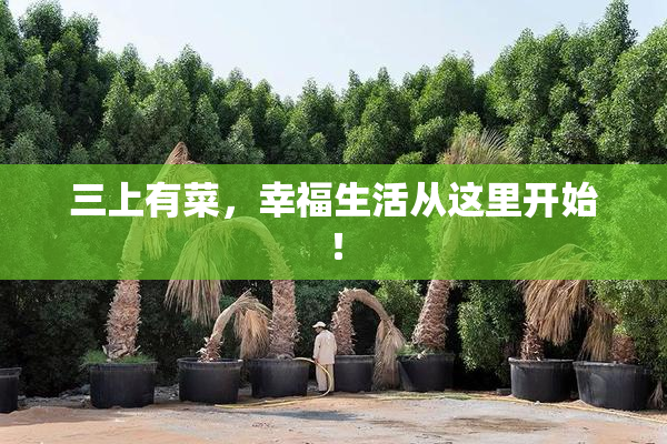 三上有菜，幸福生活从这里开始！