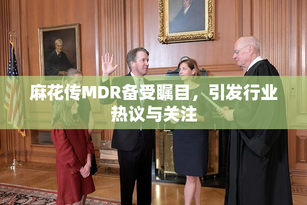 麻花传MDR备受瞩目，引发行业热议与关注