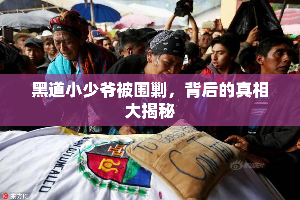 黑道小少爷被围剿，背后的真相大揭秘