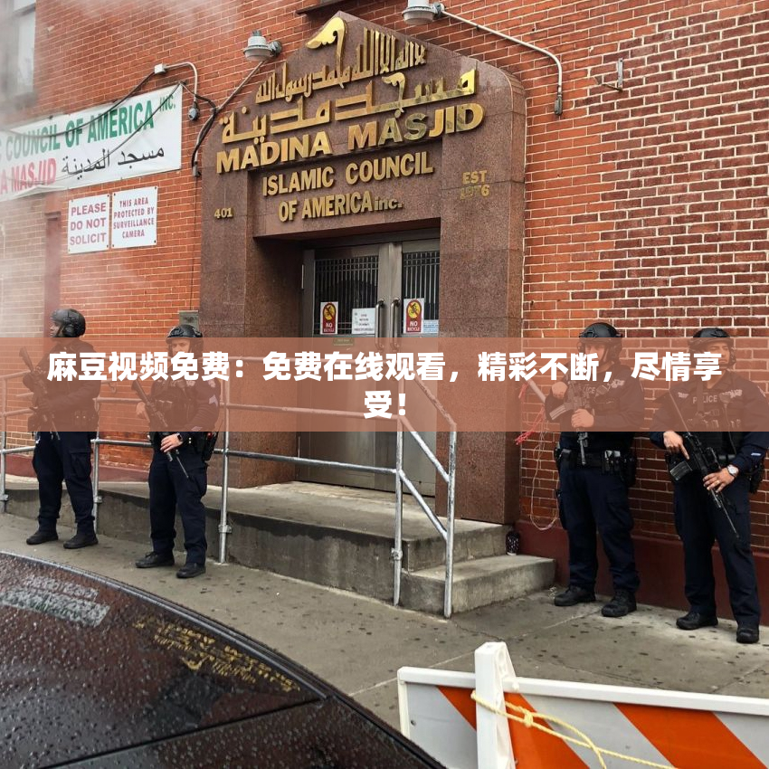 麻豆视频免费：免费在线观看，精彩不断，尽情享受！