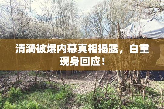 清漪被爆内幕真相揭露，白重现身回应！