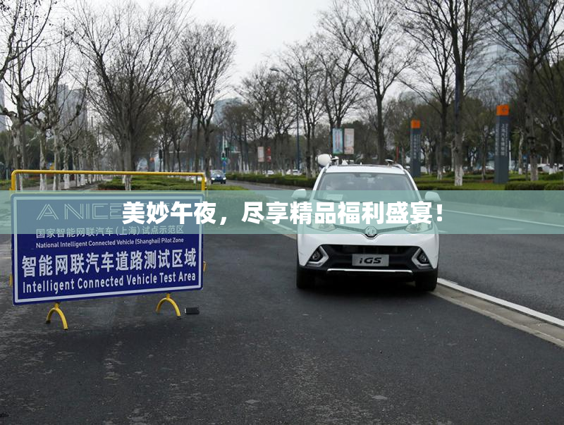 美妙午夜，尽享精品福利盛宴！