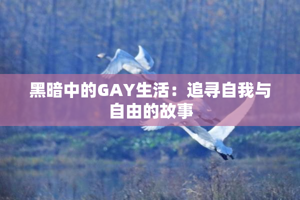 黑暗中的GAY生活：追寻自我与自由的故事