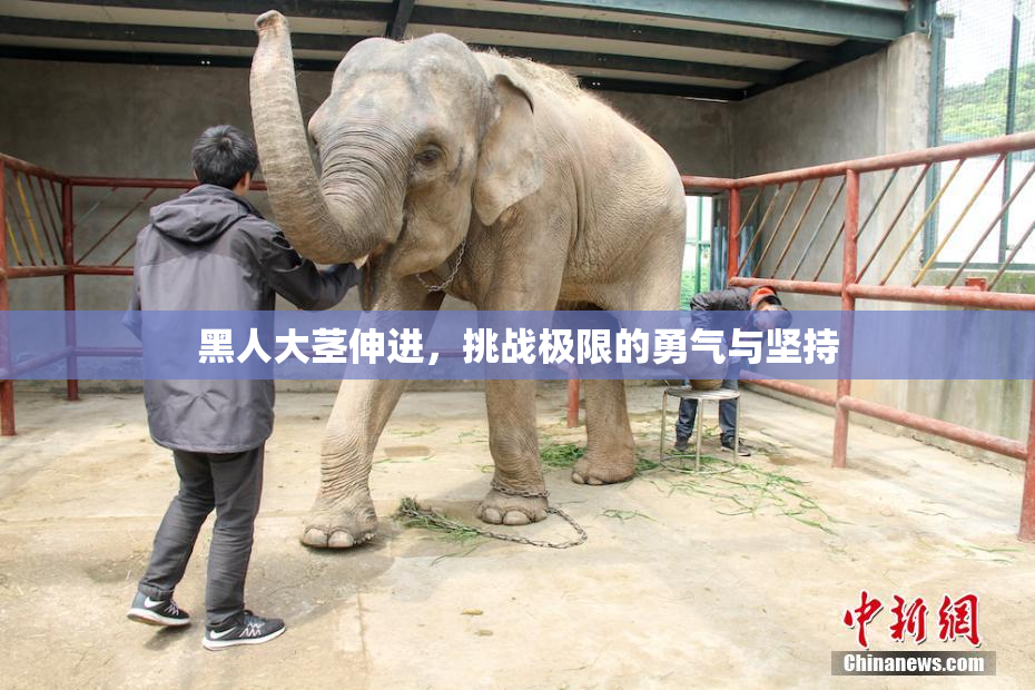 黑人大茎伸进，挑战极限的勇气与坚持