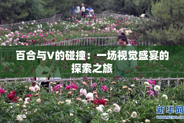 百合与V的碰撞：一场视觉盛宴的探索之旅