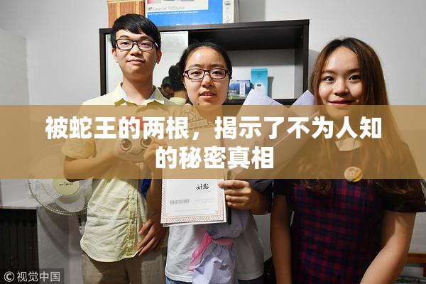 被蛇王的两根，揭示了不为人知的秘密真相