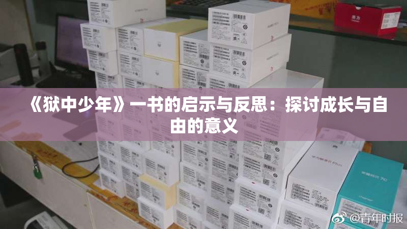 《狱中少年》一书的启示与反思：探讨成长与自由的意义