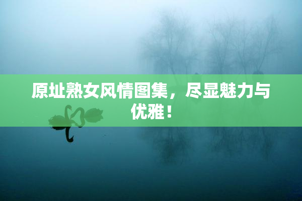 原址熟女风情图集，尽显魅力与优雅！