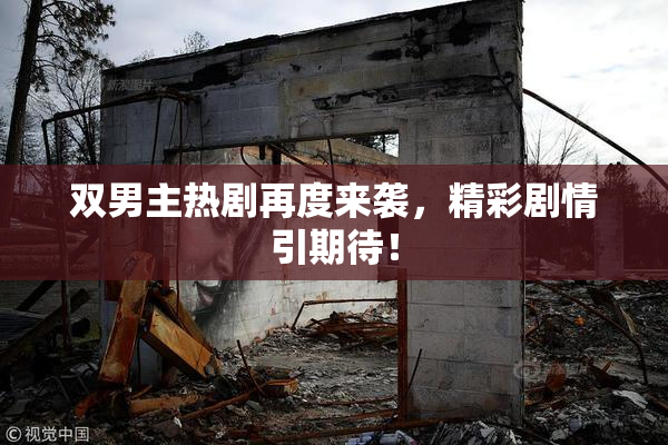 双男主热剧再度来袭，精彩剧情引期待！