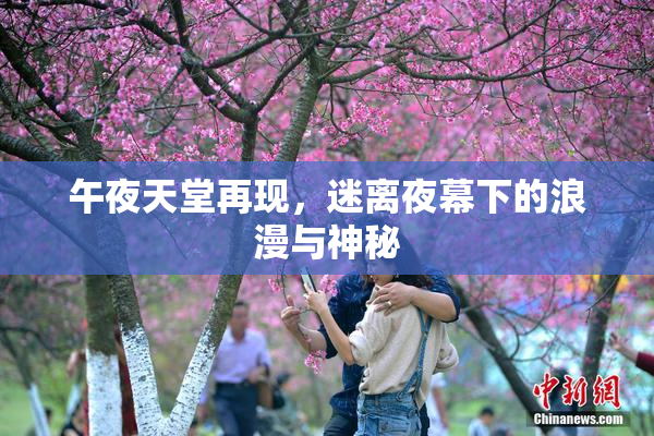午夜天堂再现，迷离夜幕下的浪漫与神秘