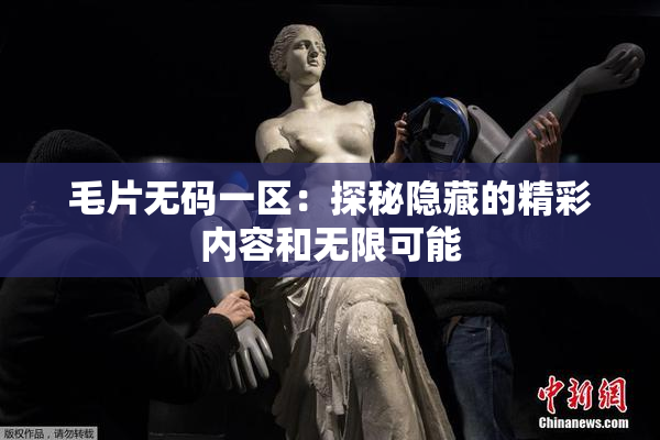 毛片无码一区：探秘隐藏的精彩内容和无限可能
