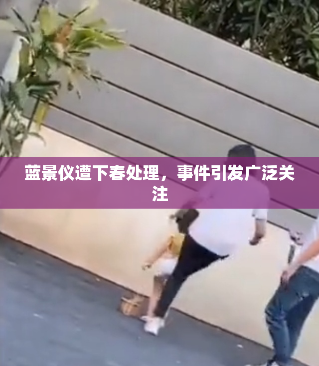 蓝景仪遭下春处理，事件引发广泛关注