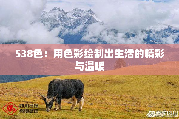 538色：用色彩绘制出生活的精彩与温暖