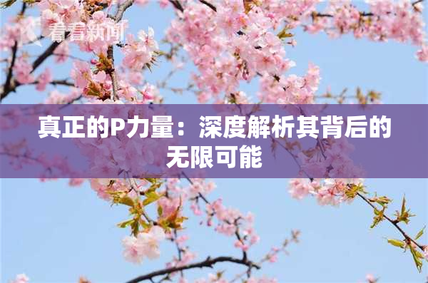 真正的P力量：深度解析其背后的无限可能