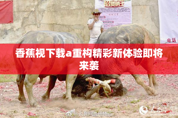 香蕉视下载a重构精彩新体验即将来袭