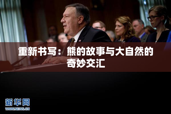 重新书写：熊的故事与大自然的奇妙交汇