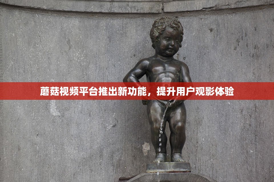 蘑菇视频平台推出新功能，提升用户观影体验