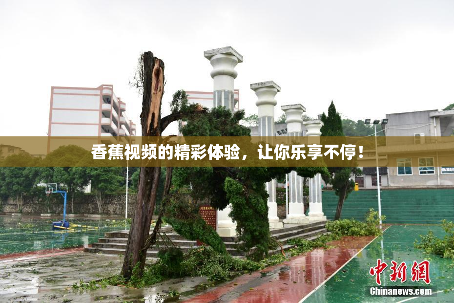 香蕉视频的精彩体验，让你乐享不停！