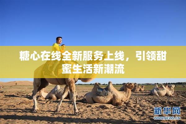 糖心在线全新服务上线，引领甜蜜生活新潮流