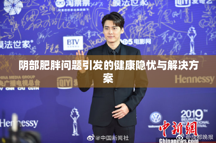 阴部肥胖问题引发的健康隐忧与解决方案