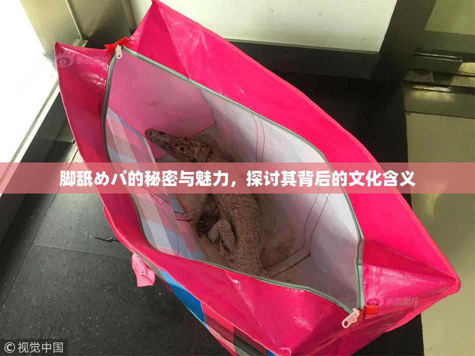 脚舐めパ的秘密与魅力，探讨其背后的文化含义