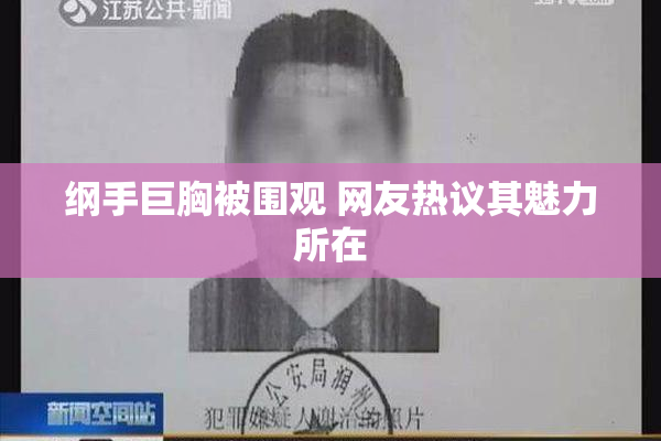 纲手巨胸被围观 网友热议其魅力所在