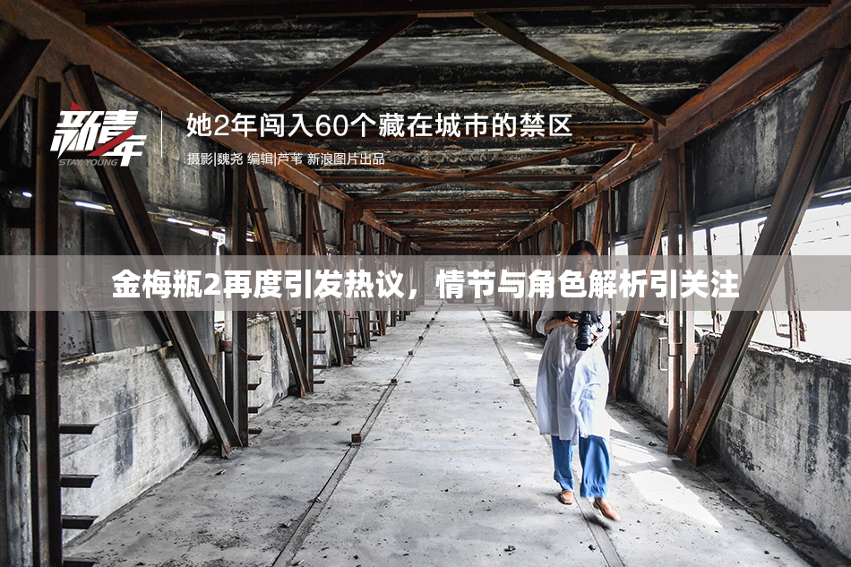 金梅瓶2再度引发热议，情节与角色解析引关注