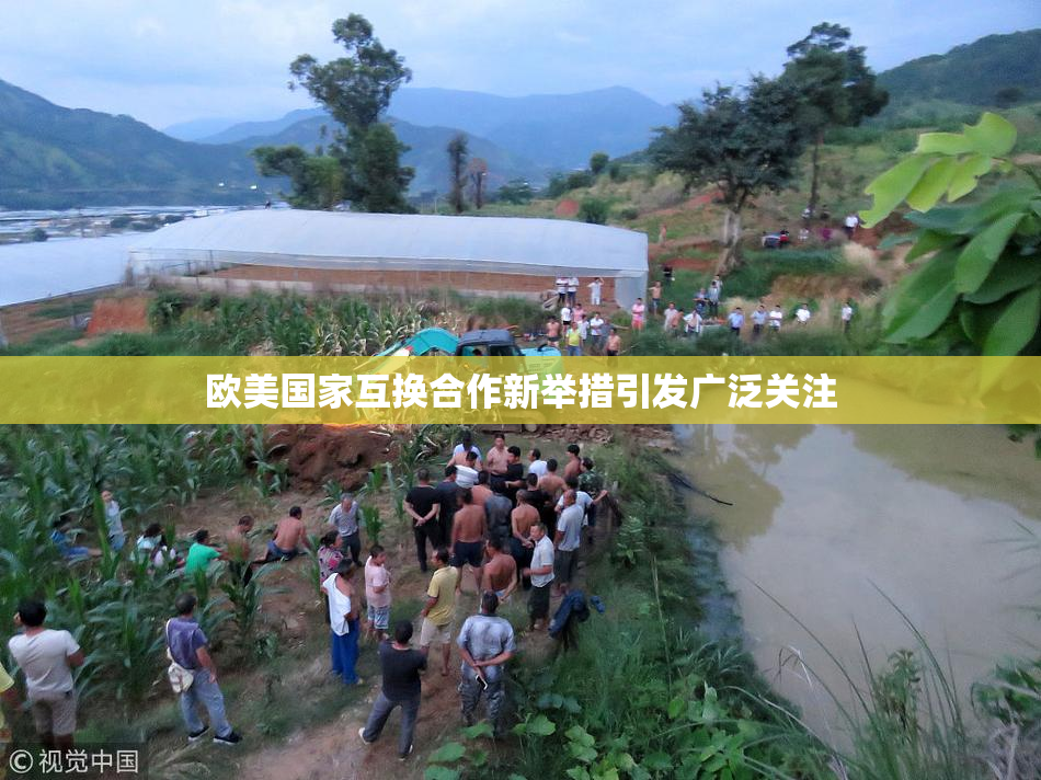 欧美国家互换合作新举措引发广泛关注