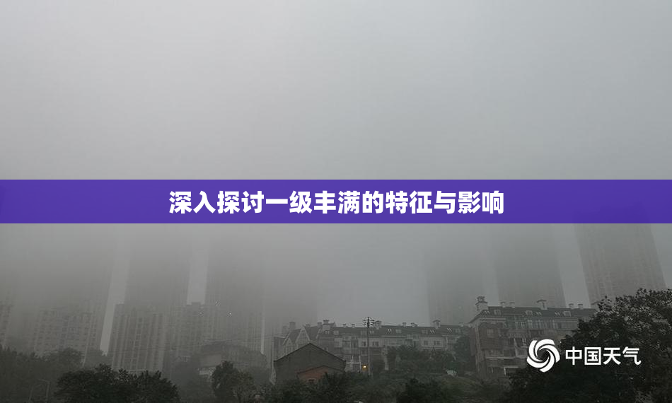 深入探讨一级丰满的特征与影响