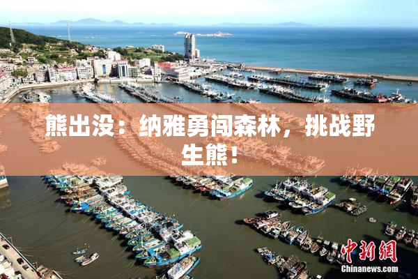 熊出没：纳雅勇闯森林，挑战野生熊！
