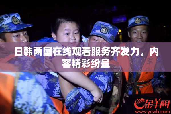 日韩两国在线观看服务齐发力，内容精彩纷呈