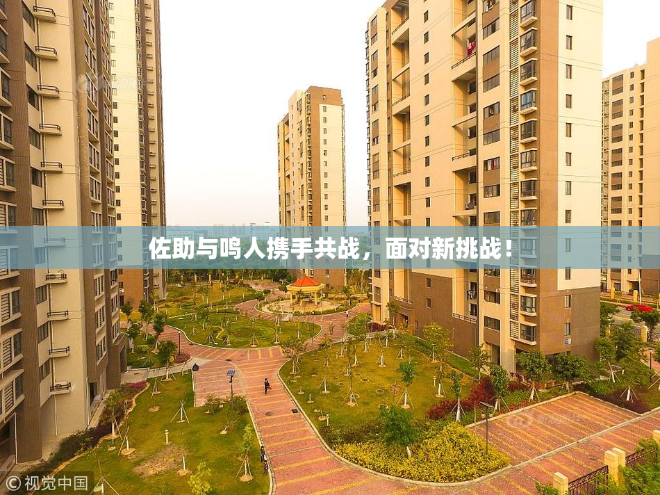 佐助与鸣人携手共战，面对新挑战！