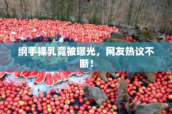 纲手裸乳竟被曝光，网友热议不断！