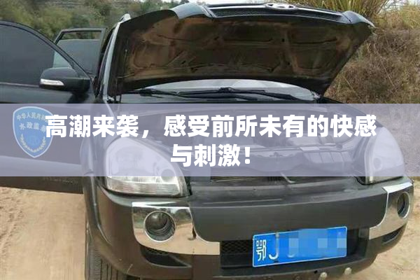 高潮来袭，感受前所未有的快感与刺激！