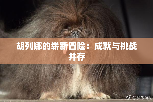 胡列娜的崭新冒险：成就与挑战并存