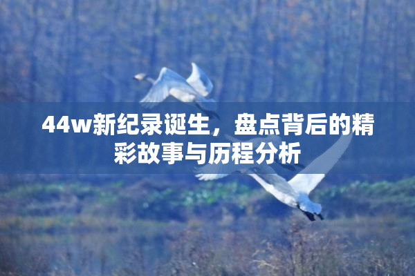 44w新纪录诞生，盘点背后的精彩故事与历程分析