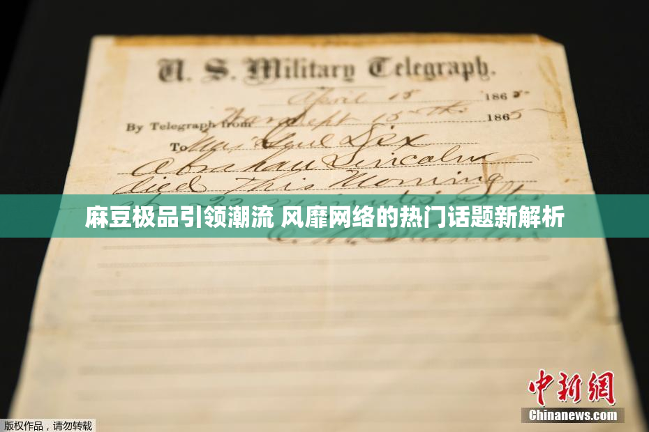 麻豆极品引领潮流 风靡网络的热门话题新解析
