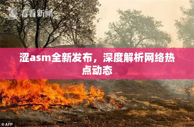 涩asm全新发布，深度解析网络热点动态
