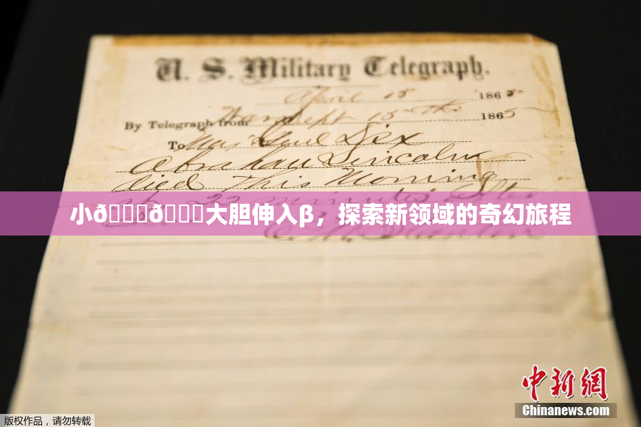 小🐔🐔大胆伸入β，探索新领域的奇幻旅程